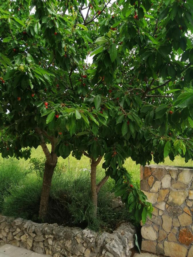 Krusvar Villa Legacy מראה חיצוני תמונה